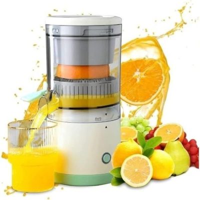 Portable Electric Juicer Hand Blenders Juicer, Fruits Mixer