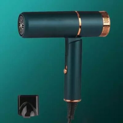 Professional Hair Dryer Foldable with 2 ...